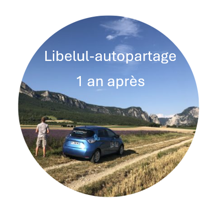 Retour sur la première année de Libelul-Autopartage