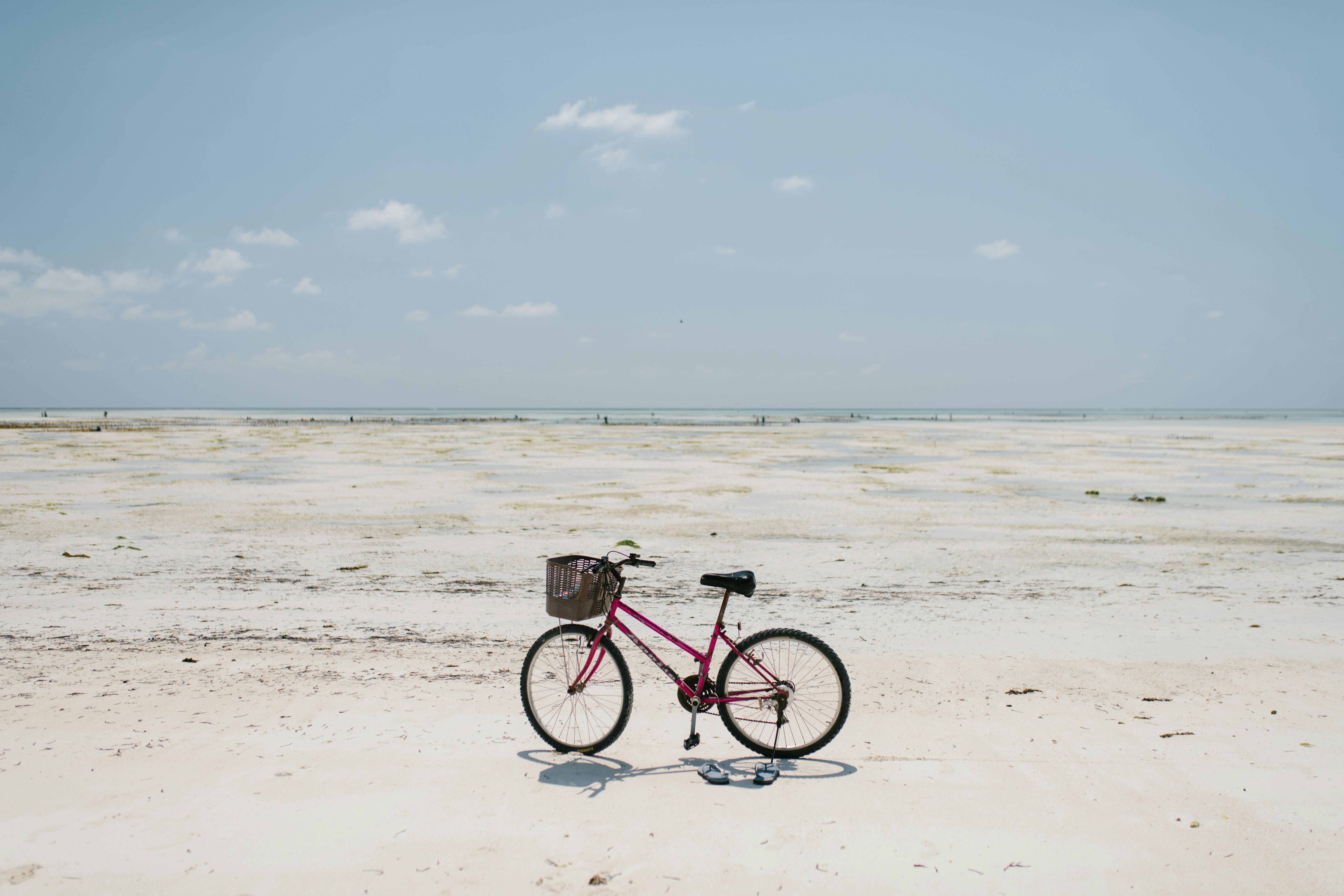 Les vacances écomobiles : conseils et astuces pour un été durable
