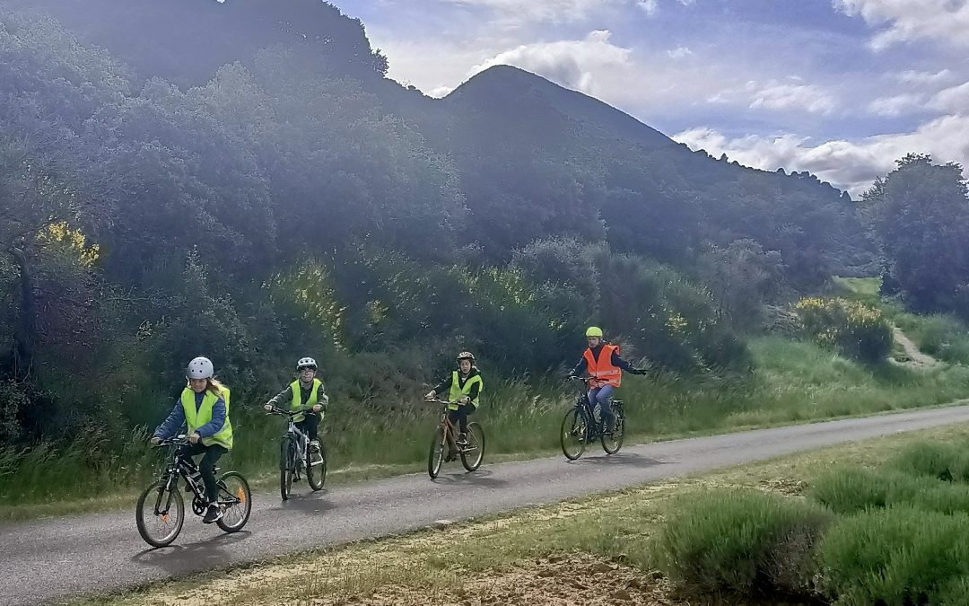 Se (re)mettre en selle avec notre vélo-école à Crest !
